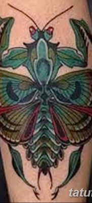 фото тату богомол от 20.04.2018 №010 — mantis tattoo — tatufoto.com