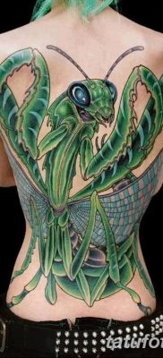 фото тату богомол от 20.04.2018 №011 — mantis tattoo — tatufoto.com
