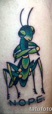 фото тату богомол от 20.04.2018 №014 — mantis tattoo — tatufoto.com