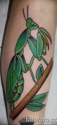фото тату богомол от 20.04.2018 №021 — mantis tattoo — tatufoto.com