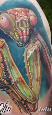 фото тату богомол от 20.04.2018 №025 — mantis tattoo — tatufoto.com