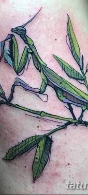 фото тату богомол от 20.04.2018 №028 — mantis tattoo — tatufoto.com