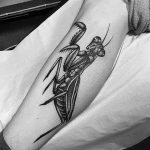 фото тату богомол от 20.04.2018 №029 - mantis tattoo - tatufoto.com