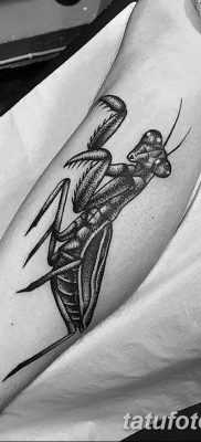 фото тату богомол от 20.04.2018 №029 — mantis tattoo — tatufoto.com