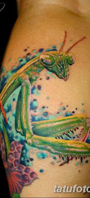 фото тату богомол от 20.04.2018 №033 — mantis tattoo — tatufoto.com
