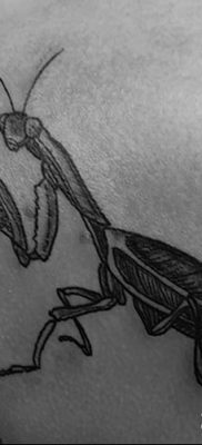 фото тату богомол от 20.04.2018 №034 — mantis tattoo — tatufoto.com
