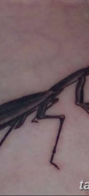 фото тату богомол от 20.04.2018 №035 — mantis tattoo — tatufoto.com