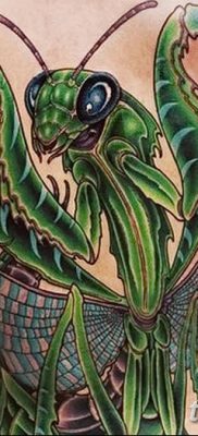 фото тату богомол от 20.04.2018 №037 — mantis tattoo — tatufoto.com