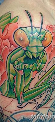 фото тату богомол от 20.04.2018 №042 — mantis tattoo — tatufoto.com