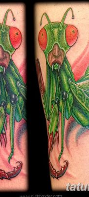 фото тату богомол от 20.04.2018 №046 — mantis tattoo — tatufoto.com
