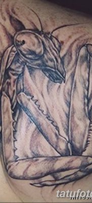 фото тату богомол от 20.04.2018 №053 — mantis tattoo — tatufoto.com
