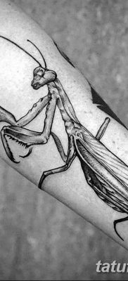 фото тату богомол от 20.04.2018 №055 — mantis tattoo — tatufoto.com