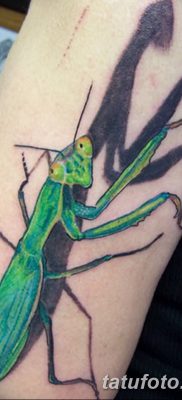 фото тату богомол от 20.04.2018 №058 — mantis tattoo — tatufoto.com