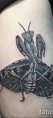фото тату богомол от 20.04.2018 №059 — mantis tattoo — tatufoto.com