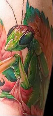 фото тату богомол от 20.04.2018 №061 — mantis tattoo — tatufoto.com