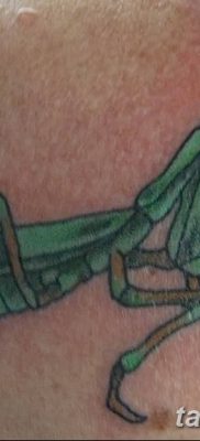 фото тату богомол от 20.04.2018 №062 — mantis tattoo — tatufoto.com