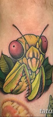 фото тату богомол от 20.04.2018 №063 — mantis tattoo — tatufoto.com