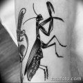 фото тату богомол от 20.04.2018 №071 - mantis tattoo - tatufoto.com