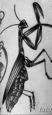 фото тату богомол от 20.04.2018 №071 — mantis tattoo — tatufoto.com