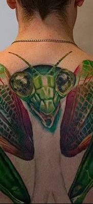 фото тату богомол от 20.04.2018 №072 — mantis tattoo — tatufoto.com