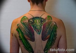 Фото тату большого богомола на спине. Рисунок выполнен в реалистичном стиле с использованием зеленых, коричневых и черных цветов. Детализированный рисунок татуировки.