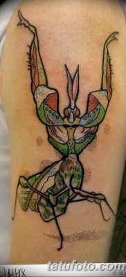фото тату богомол от 20.04.2018 №074 — mantis tattoo — tatufoto.com