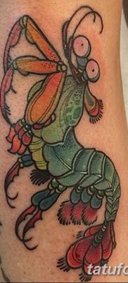 фото тату богомол от 20.04.2018 №075 — mantis tattoo — tatufoto.com