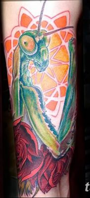 фото тату богомол от 20.04.2018 №076 — mantis tattoo — tatufoto.com