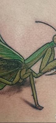 фото тату богомол от 20.04.2018 №077 — mantis tattoo — tatufoto.com