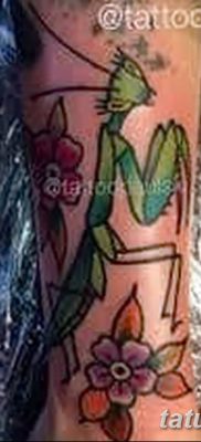 фото тату богомол от 20.04.2018 №078 — mantis tattoo — tatufoto.com