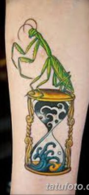 фото тату богомол от 20.04.2018 №079 — mantis tattoo — tatufoto.com