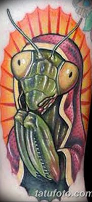 фото тату богомол от 20.04.2018 №080 — mantis tattoo — tatufoto.com