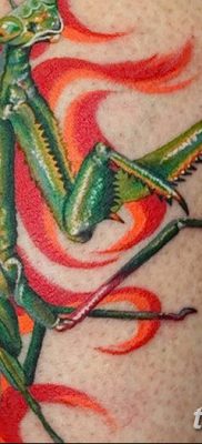 фото тату богомол от 20.04.2018 №084 — mantis tattoo — tatufoto.com