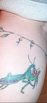 фото тату богомол от 20.04.2018 №089 — mantis tattoo — tatufoto.com