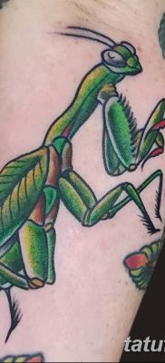фото тату богомол от 20.04.2018 №093 — mantis tattoo — tatufoto.com
