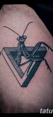 фото тату богомол от 20.04.2018 №095 — mantis tattoo — tatufoto.com