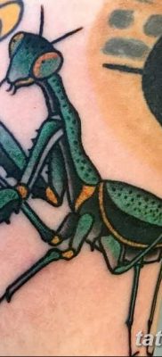 фото тату богомол от 20.04.2018 №096 — mantis tattoo — tatufoto.com