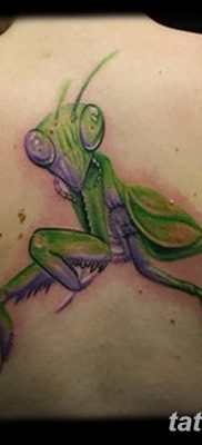 фото тату богомол от 20.04.2018 №098 — mantis tattoo — tatufoto.com