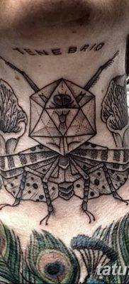 фото тату богомол от 20.04.2018 №100 — mantis tattoo — tatufoto.com