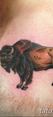 фото тату буйвол от 16.04.2018 №002 — Buffalo Tattoo — tatufoto.com