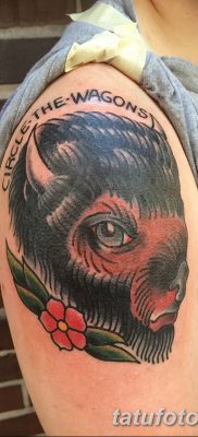 фото тату буйвол от 16.04.2018 №006 — Buffalo Tattoo — tatufoto.com