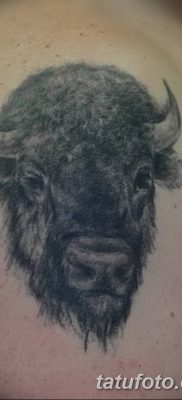 фото тату буйвол от 16.04.2018 №013 — Buffalo Tattoo — tatufoto.com