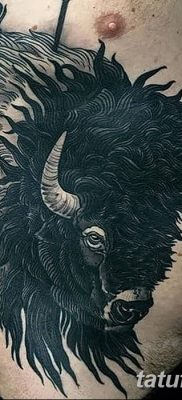 фото тату буйвол от 16.04.2018 №017 — Buffalo Tattoo — tatufoto.com
