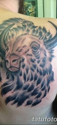 фото тату буйвол от 16.04.2018 №019 — Buffalo Tattoo — tatufoto.com