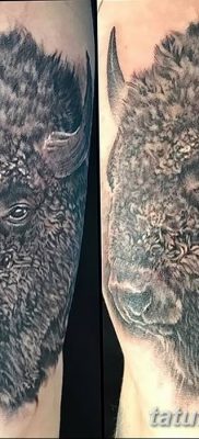 фото тату буйвол от 16.04.2018 №029 — Buffalo Tattoo — tatufoto.com