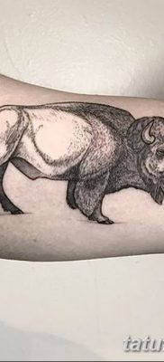 фото тату буйвол от 16.04.2018 №032 — Buffalo Tattoo — tatufoto.com