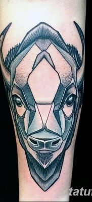 фото тату буйвол от 16.04.2018 №034 — Buffalo Tattoo — tatufoto.com