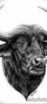 фото тату буйвол от 16.04.2018 №036 — Buffalo Tattoo — tatufoto.com