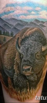 фото тату буйвол от 16.04.2018 №042 — Buffalo Tattoo — tatufoto.com