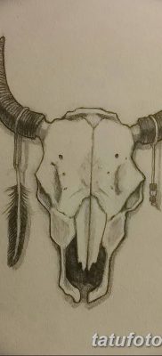 фото тату буйвол от 16.04.2018 №047 — Buffalo Tattoo — tatufoto.com